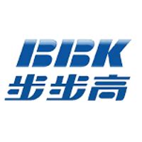 bbk electronics net worth 2024